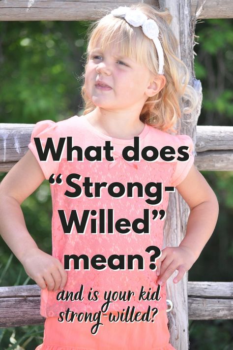 Understand the qualities of a strong-willed child and know the difference between simply being a disobedient child and being a strong-willed child. Get a pep talk for raising a strong-willed kiddo! Strong Willed Children, Independent Toddler, Strong Willed Child, Parenting Knowledge, Parenting Tools, Temper Tantrums, Pep Talk, Parenting Ideas, Blaming Others