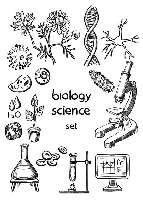 Biological science hand drawing set Prem... | Premium Vector #Freepik #vector #technology #hand #computer #leaf Biology Drawing, Science Drawing, Science Tattoos, Science Doodles, Biological Science, Cute Typography, School Book Covers, Creative School Project Ideas, Bullet Journal Font