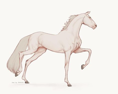 Cartoon Horse Sketch, Horse Tail Drawing, Horse And Rider Reference, Cute Horses Drawing, Horse Drawing Base, How To Draw Horse, Realistic Horse Sketch, Horse Poses Reference, White Horse Drawing