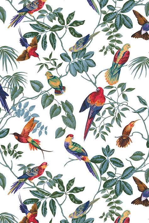 Aviary Multi Original wallpaper #tropicalwallpaper #wallmural #tropical #birds #flowers #tapet #behang #homedecor #wallart #photowallsweden Modern Wallpapers, Birds Wallpaper, Tropical Wallpaper, Bird Wallpaper, Bird Art Print, Digital Print Fabric, Tropical Birds, Plant Illustration, Original Wallpaper