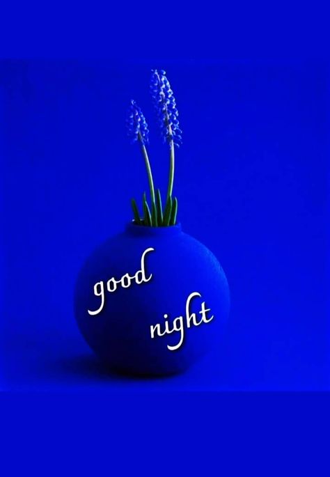 Good Night Wishes Beautiful, Beautiful Goodnight, Best Good Night Images, School Love Story, Love Good Night, Goodnight Quotes Inspirational, Cute Baby Images, God Night, Photos Of Good Night