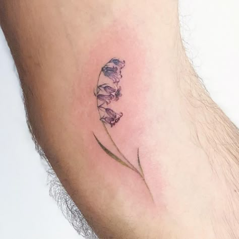 Dani on Instagram: “Blue bell flowers.  #nyctattoo #nyctattooartist  #nyctattooartist #nyctattooshop #nyctattoos #flowertattoo #smalltattoos #flowertattoo…” Canterbury Bells Tattoo, Blue Bell Tattoo Black, Bell Flowers Tattoo, Bluebell Flower Tattoo, Bell Flower Tattoo, Blue Bell Tattoo, Simple Bluebell Tattoo, Chilean Bellflower Tattoo, Minimalist Bluebell Tattoo