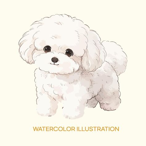 A drawing of a poodle called the waterco... | Premium Vector #Freepik #vector #puppy-illustration #cute-dog-illustration #poodle-dog-illustration #poodle-pose-illustration Poodle Puppy Drawing, Cavapoo Cartoon Drawing, Cute Dogs Illustration, Poodle Dog Illustration, Dog Cute Illustration, Poodle Art Drawing, Poses Base Reference, Cute Poodle Drawing, Dog Poses Drawing