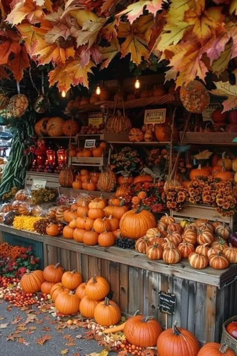 Pumpkin Farm Aesthetic, Pumpkin Spice Aesthetic, Autumn Hygge, Autumn Moodboard, Fall Scenes, Fall Aesthetics, Fall Mood Board, Autumn Magic, Pumpkin Everything