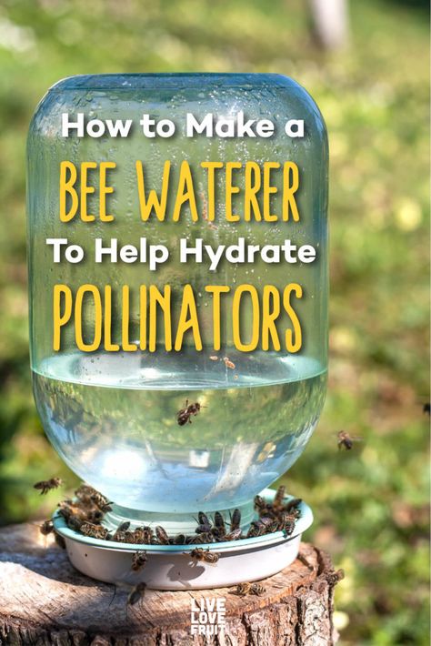 Bee Waterer, Backyard Bee, Bee Friendly Garden, Bee Hotel, Backyard Beekeeping, Garden Flower Beds, Bee Garden, Bee Friendly, Pollinator Garden