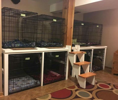 Foster Pet Room, Small Kennel Ideas, Stacked Dog Crates Diy, Multi Dog Kennel Ideas Indoor, Dog Room Ideas For Multiple Dogs, Dog Grooming Bandana Storage, Dog Kennel Set Up Ideas, Home Dog Kennel Ideas, Dog Boarding Ideas In Home