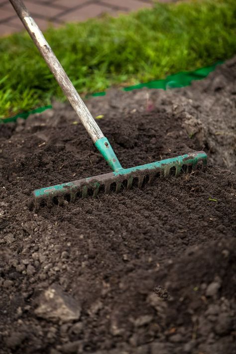 Spring Yard Cleanup Checklist for Gardens, Lawns, and Patios - This Old House Planting Grass Seed, Planting Grass, Growing Grass, Diy Lawn, Lawn Care Tips, Lawn Maintenance, Lawn And Landscape, Grass Seed, Green Lawn