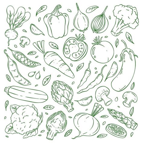 Hand drawn doodle vegetable collection | Premium Vector #Freepik #vector #background #food #menu #hand Vegetable Drawing, Vegetable Cartoon, Vegetable Design, Vegetable Illustration, Recipe Cards Template, Hand Drawn Vector, Food Illustration, Card Illustration, Food Illustrations