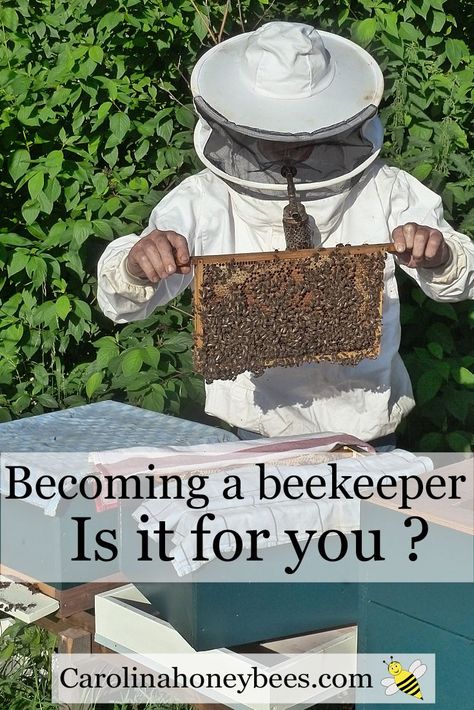 How To Start Beekeeping, Backyard Bee, Raising Bees, Beekeeping For Beginners, Beekeeping Equipment, Backyard Beekeeping, Ideas For Backyard, Bee Keeper, Sustainable Community