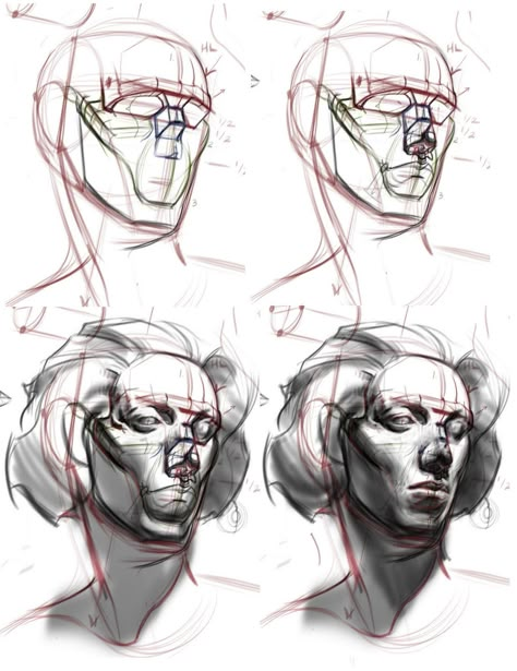 Michael Hampton, Anatomy Head, Head Anatomy, Facial Anatomy, Face Anatomy, 얼굴 드로잉, Drawing Anatomy, Human Anatomy Drawing, 얼굴 그리기