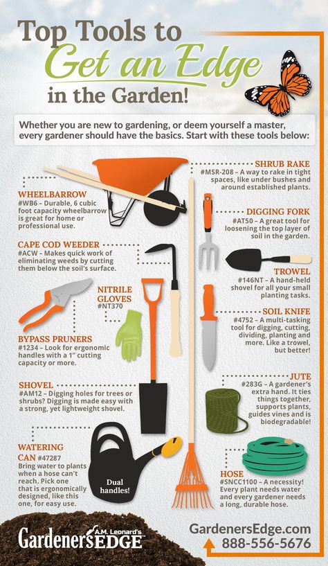 Best Gardening Tools: Top Tools to Get an Edge in the Garden this Spring! [Must-Have Garden Tools!] Durable wheelbarrow, Cape Cod Weeder, nitrile gloves, bypass pruners, garden spade, watering can, narrow shrub rake, digging fork, trowel, Soil Knife (Hori Hori Knife), jute garden string, and a reliable hose!  |  GardenersEdge.com Digging Fork, Garden Spade, Best Garden Tools, Landscaping Tools, Nitrile Gloves, Garden Shrubs, Garden Equipment, Home Vegetable Garden, Garden Yard Ideas