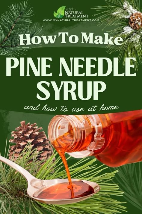 Want to know the pine needle syrup recipe and how to use the pine syrup at home? Continue reading and find out. Pine Syrup, Medicinal Herbs Remedies, Medicine Recipes, Herbs Remedies, Herbal Medicine Recipes, Diy Herbal Remedies, Herbal Remedies Recipes, Medicinal Herbs Garden, Medical Herbs