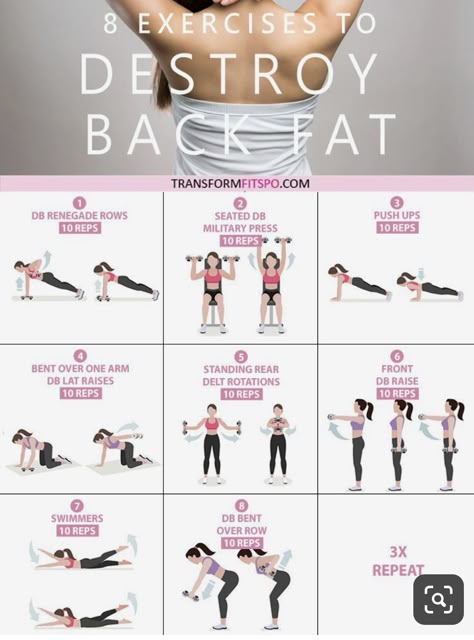 Exercise Bras, Core Exercises For Women, Survival Videos, Workout Gym Routine, Back Fat Workout, Exercises For Women, Summer Body Workouts, Workout Routines For Beginners, Core Exercises