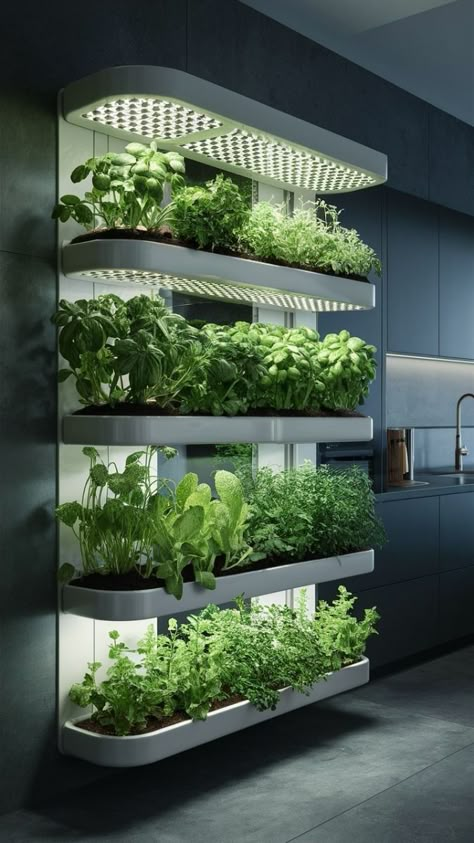 Smart House Technology, Indoor Hydroponics System, Apartment Herb Gardens, Smart Gardening, Indoor Garden Rooms, Herb Garden Wall, Kitchen Herb Garden, Smart Farm, Indoor Vegetables