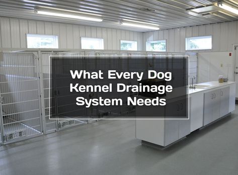 Kennel Drainage System, Kennel Room In House, Commercial Dog Kennel Designs, Dog Daycare Design Floor Plans, Dog Kennel Layout, Kennel Business Ideas, Dog Kennel Floor Plans, Dog Rescue Facility Kennel Ideas, Kennel Setup Ideas