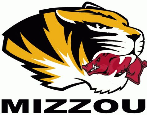 Since Jayhawk are too chicken to keep the MU-KU rivalry going, I created this to spur on an arKANSAS rivalry!  #MIZZOU #RAZORBACKS Mizzou Wallpaper, Mizzou Aesthetic, Mizzou Tigers Wallpaper, Mizzou Dorm, Mizzou Tigers Logo, Mizzou Football, Tiger Vector, Mizzou Tigers, Football Board