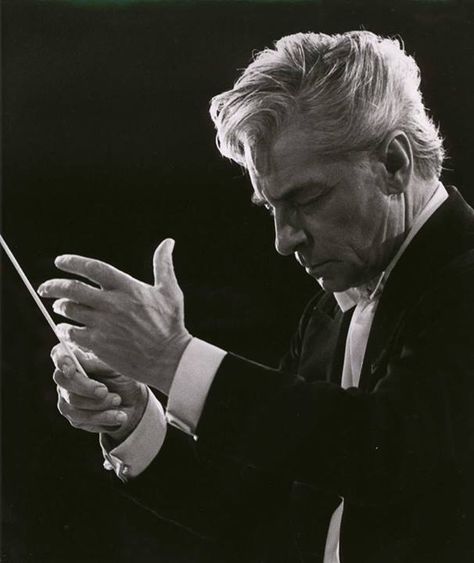 The face of sublimity...  Herbert Von Karjan Conductor Batons, Vienna Philharmonic, Orchestra Conductor, Herbert Von Karajan, Musician Portraits, Swan Lake Ballet, Classical Music Composers, Classical Musicians, Music Composers