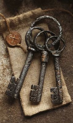 Key Aesthetic, Medieval Aesthetic, Old Keys, Antique Keys, Pirate Life, Vintage Keys, Key To My Heart, Dark Academia Aesthetic, Fantasy Aesthetic