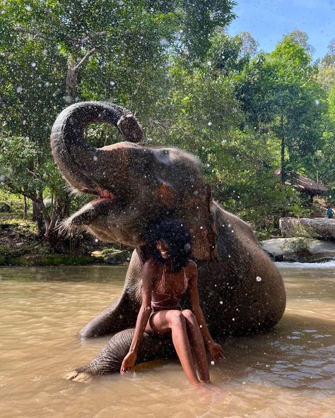 @megan.milan on Instagram: “No edits, no filters, just pure joy 🫶🏾🐘” Megan Milan, Bali Elephant, Terrence Loves You, Thailand Honeymoon, Thailand Elephants, Thailand Vacation, Elephant Sanctuary, Africa Do Sul, Phuket Thailand