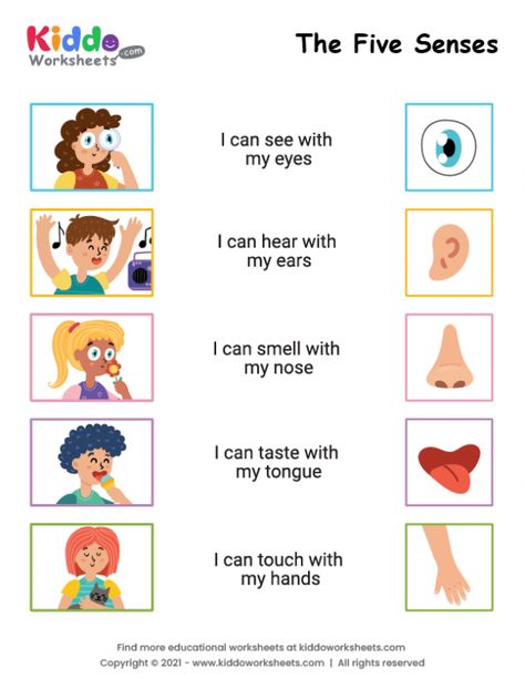 Senses Worksheets For Kids, Fire Safety Preschool Crafts, 5 Senses Worksheet, Five Senses Worksheet, Preschool Worksheets Free Printables, My Five Senses, Worksheet Kindergarten, Senses Activities, Free Preschool Printables