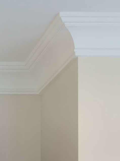 Cove Molding Types Of Crown Molding, Cove Crown Molding, Crown Molding Ideas, Crown Molding Styles, Cove Moulding, Baseboards And Trim, Ceiling Crown Molding, Baseboard Styles, Molding Ceiling