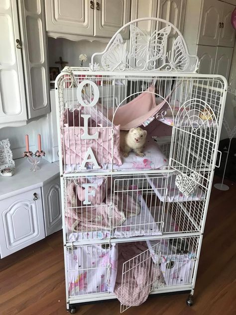 Cat Cage Aesthetic, Cute Rat Cage Setup, Cute Bird Cage Ideas, Diy Rat Cage Ideas, Ferret Aesthetic Cage, Ferret Cage Aesthetic, Ferrets Cage Ideas, Aesthetic Ferret Cage, Cute Rat Cage Ideas