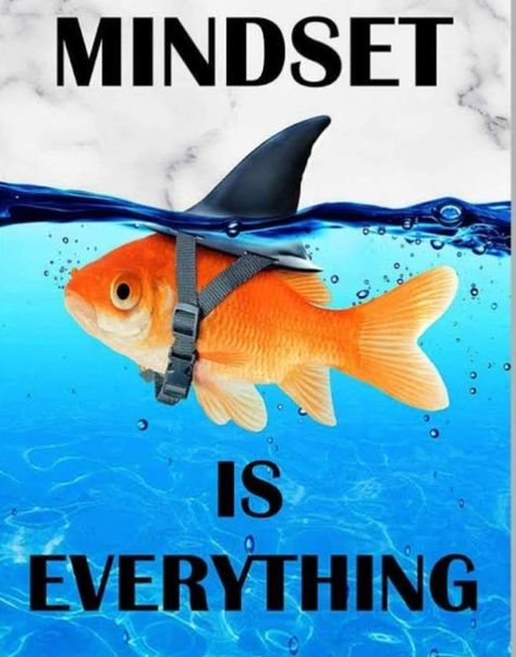 Positive Mindset Quotes, Real Estate Posts, Prevent Burnout, Big Shark, Leader Quotes, Real Estate Advertising, Canvas Art Quotes, Inspirational Quotes Posters, Mindset Is Everything