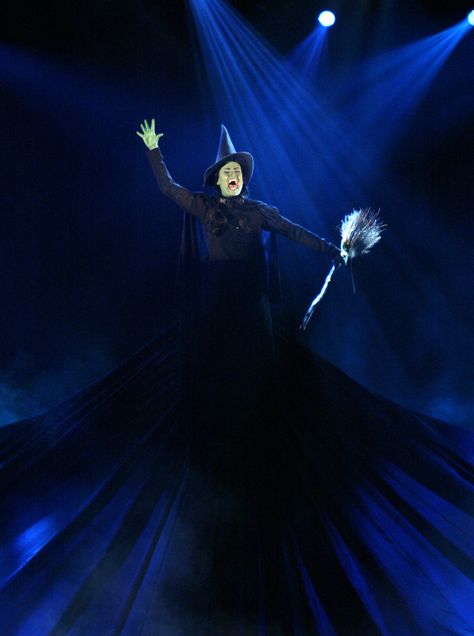 Defying Gravity Wicked Defying Gravity, Musical Pictures, Sapo Kermit, Elphaba Wicked, Wicked Broadway, Broadway Wicked, The Witches Of Oz, Wicked Costumes, Wicked Musical