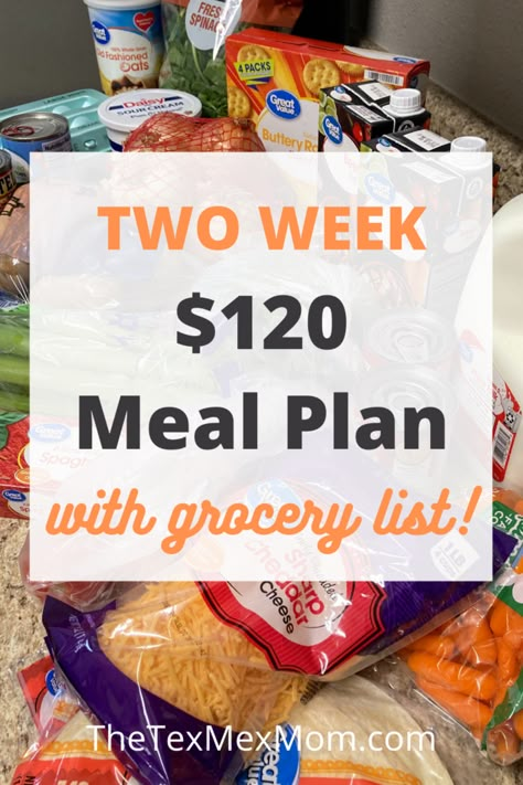 Two Week Meal Plan, Weekly Meal Plan Family, Meal Plan With Grocery List, Cheap Family Dinners, Cheap Meal Plans, Frugal Meal Planning, Aldi Meal Plan, Cheap Family Meals, Meal Plan Grocery List