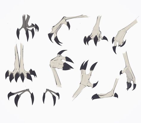 Ave on Instagram: “#sketches #study #hands #claws #draw #aveartz” Claw Feet Drawing, Bird Feet Drawing Reference, How To Create A Fursona, Bird Feet Reference, Bird Feet Drawing, Claw Reference, Monster Body Base, Bird Claws, Animal Paws