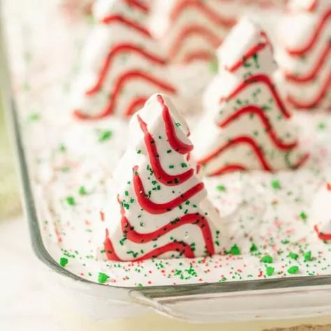 Christmas Dirt Cake, Dirt Cake Recipe, Little Debbie Snack Cakes, Oreo Dirt Cake, Dirt Cake Recipes, Tree Cupcakes, Little Debbie Christmas Tree, Christmas Tree Cakes, Dessert Dip