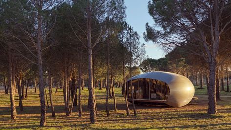 An Art Show, a Vineyard and a Prefabricated Bungalow from 1972 | Architectural Digest Prefabricated Structures, Mobile Architecture, Bamboo Building, Day Trip From Paris, Paris Flea Markets, Bamboo Architecture, Dome House, Dutch Artists, Architectural Digest