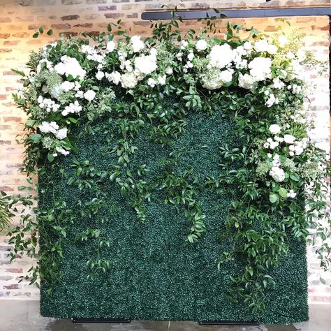 Luxury Weddings - Flower Shack Blooms | Flower Shack Blooms Wedding Backdrop Wall, Boxwood Backdrop, Simple Beach Wedding Ideas, Flower Backdrop Wedding, Simple Beach Wedding, Flower Wall Wedding, Backdrop Wall, Flower Walls, Flower Wall Backdrop