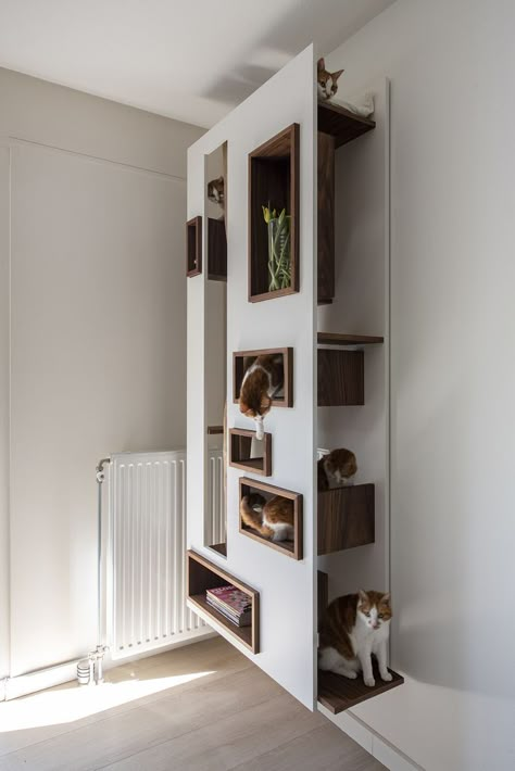 Built In Shelves Living Room Asymmetrical, Large Extra Room Ideas, Cottagecore Pet Room, Cat Wall House, Cat Tree That Looks Like Furniture, Hidden Cat Door In Door, Modern Cat Room, Unique Cat Furniture, Wall Mount Cat Furniture