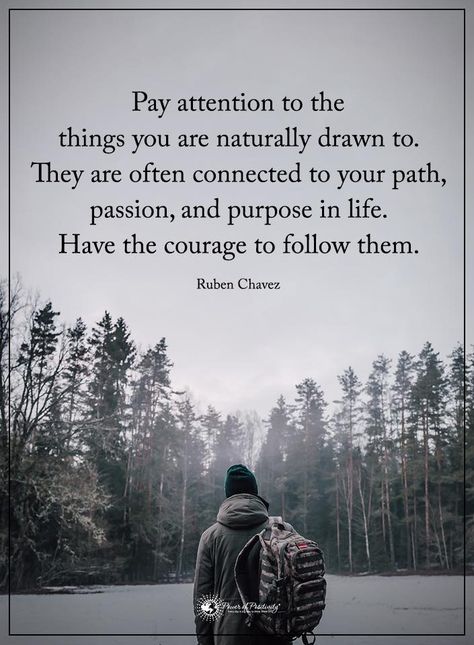 Path Quotes, Purpose Quotes, Nature Quotes, Life Purpose, Wise Quotes, Meaningful Quotes, Great Quotes, Just For Me, Inspiring Quotes