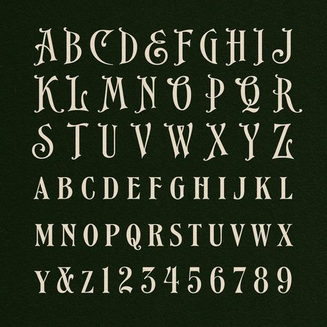 Gothic fonts from Ephemera: EFCO Songster and extras, including two sets of flourishes and 19th Century Typography, 19th Century Graphic Design, Fall Fonts Alphabet, Font Style Alphabet, Earthy Typography, Antique Font, Vintage Fonts Alphabet, Typography Composition, Types Of Fonts