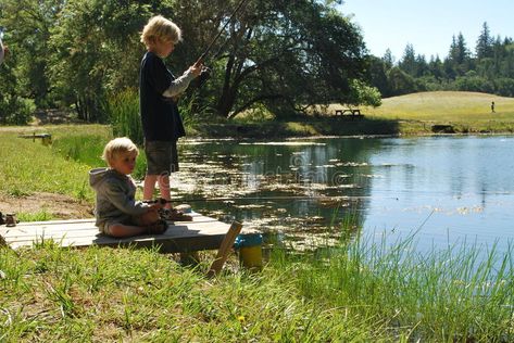 Fishing Pond, Pond Fishing, Fishing Lake Aesthetic, Downton Abbey Castle, Man Fishing Photography, River Fishing Aesthetic, Fishing At The Lake, Animation Classes, Fishing Photos