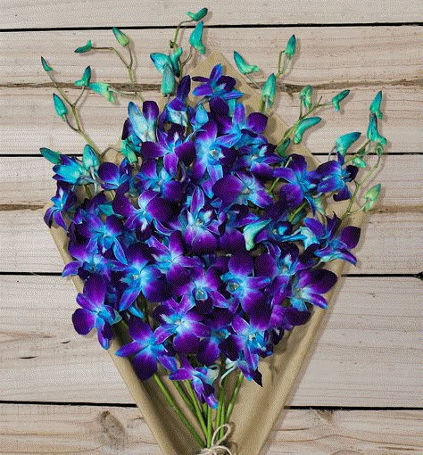 Bouquet Of Flowers Orchid, Galaxy Orchid Wedding Theme, Blue Orchids Aesthetic, Nola Tattoo, Orchid Flower Bouquet, Blue Orchid Bouquet, Blue And Purple Orchids, Blue Flower Png, Orchids Bouquet