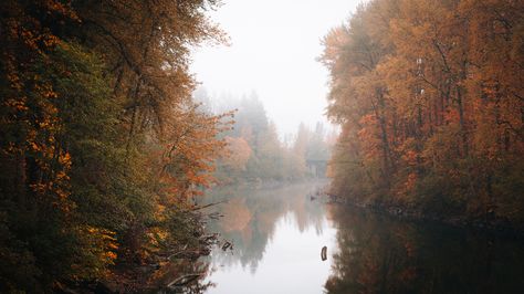 Autumn in Snoqualmie Washington - [OC][2048 x 1152] 2048 X 1152, Snoqualmie Washington, Autumn Moodboard, Mobile Photos, Film Photos, 20 Century, Nature Scenery, Autumn Vibes, Autumn Cozy