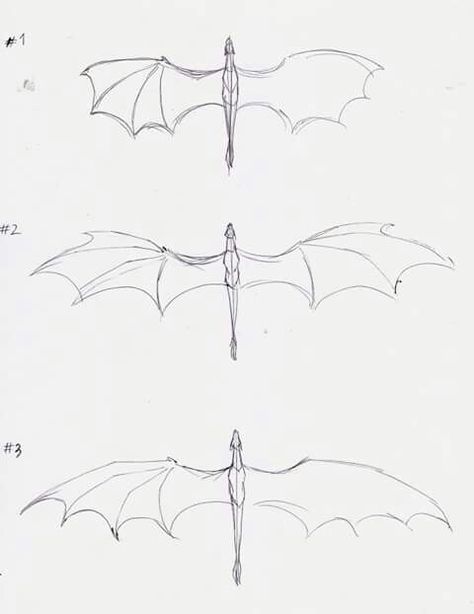 How To Draw Dragon Wings On A Person, Symmetrical Dragon Back Tattoo, Small Dragon Sketch, Dragon Facial Expressions, Folded Dragon Wings Reference, Dragon Body Drawing, Dragon Drawing Base, Dragon Art Reference, Dragon Bases Drawing