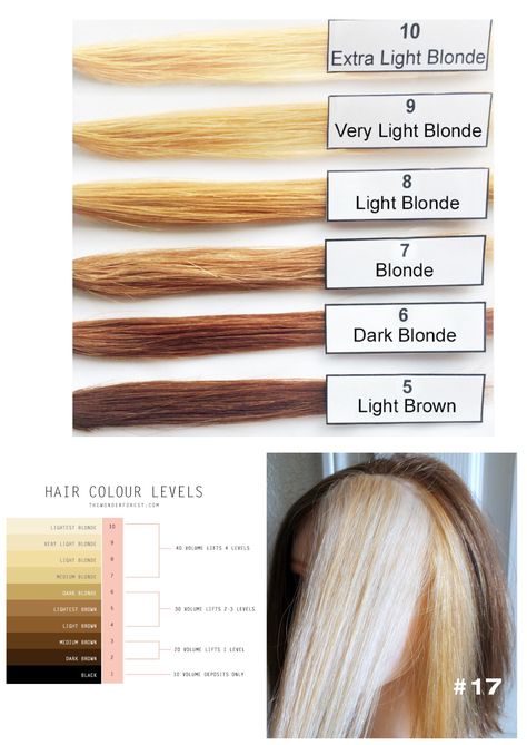 Levels Of Hair Color, Hair Color Wheel, Hair Color Placement, Hair Stages, Hair Dye Videos, Hair Cut Guide, Hair Science, Hair Foils, Redken Hair Color