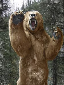 Timothy Treadwell, Grizzly Bear Standing, Taiga Forest, Bear Claw Tattoo, Grizzly Bear Tattoos, Nail Claws, Evil Jester, Claw Tattoo, Bear Standing