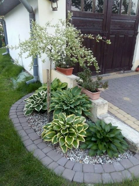 70 Cool and Beautiful Front Yard Landscaping Ideas #frontyard #frontyardlandscaping #frontyardlandscapingideas Funny Vine, Small Garden Landscape, Front Landscaping, Have Inspiration, Home Landscaping, Front Yard Garden, Landscaping Tips, Front Yard Landscaping Design, Small Gardens