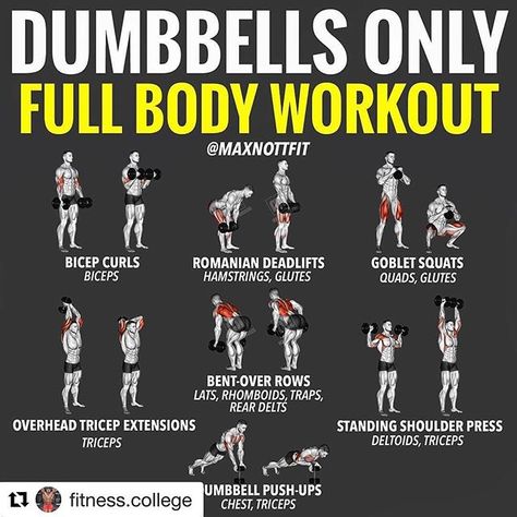 Here are some easy workout moves you can do with just dumbbells. No major weight machine or free weight set needed here! Start small and progressively work your way up. . . . . . #keepitsimple #dumbbells #workout #betterthannothing #getfit #addcardio #livehealthy #livefit #fullbodyworkout #eathealthy #totalwellness #optimalhealth #nutrionist #chiropractor #wellnesscenter #greensboroga #eatontonga #milledgevillega #madisonga #lakeoconee Best Home Dumbell Workout, At Home Workouts For Men Dumbbells, Dumbbells Only Workout, Dumbell Home Workout For Men, Workout With Dumbbells Men, Weight Training With Dumbbells, Home Workouts For Men Dumbell, Home Dumbell Workout Men, Men’s Dumbbell Workout