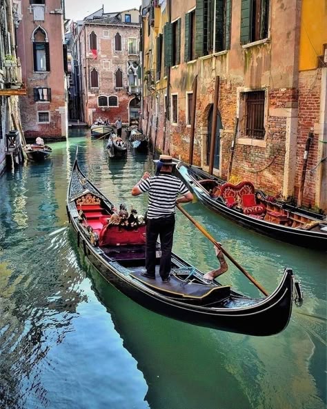 Gondola Venice, Venice Italy Gondola, Venice Italy Photography, Birds Photography Nature, Gondola Ride, City Painting, Boat Art, Italy Photography, Italian Beauty