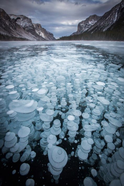 Methane Bubbles, Canadian Lakes, Frozen Bubbles, Abraham Lake, Frosé, Frozen Lake, Artistic Images, Banff National Park, Natural Phenomena