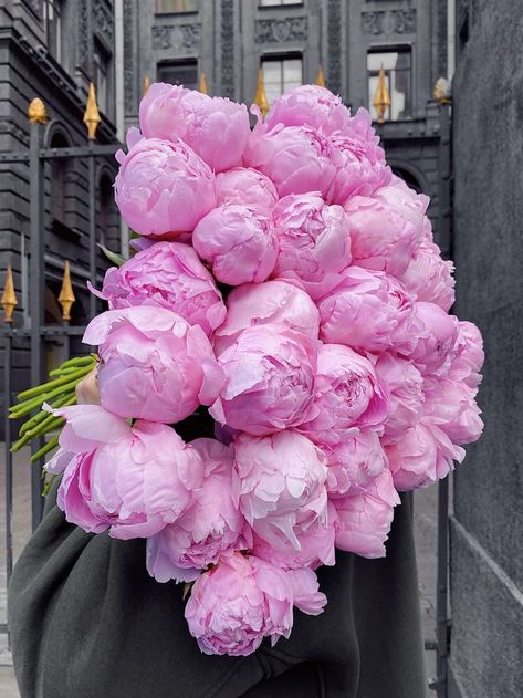 Peonies Aesthetic, Peony Colors, Blooming Bouquet, Luxury Flower Bouquets, Flowers Peonies, Flower Gift Ideas, Modern Flower Arrangements, Flower Shower, Peonies Bouquet