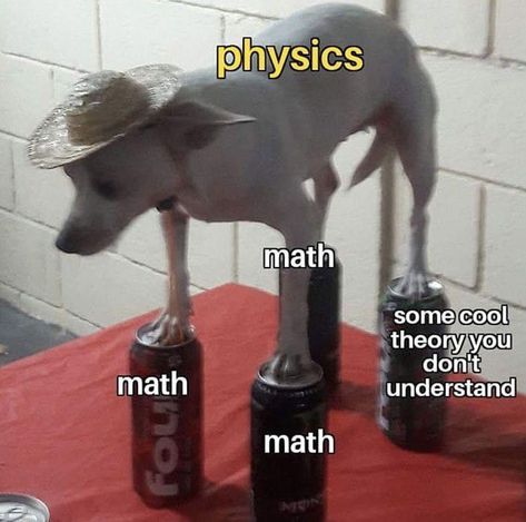 Physics Jokes, Nerd Memes, Nerdy Jokes, Physics Memes, Nerdy Humor, Studying Memes, Nerd Jokes, Happy Meme, Pretty Meme