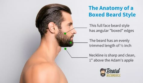 Short Boxed Beard Style: Grow, Trim, & Examples (Full Guide) Box Beard Styles, Beard Neckline Guide, Gray Beard Styles, Clean Cut Beard, Beard Trimming Guide, Trimmed Beard Styles, Beard Trimming Styles, Beard Neckline, Short Boxed Beard