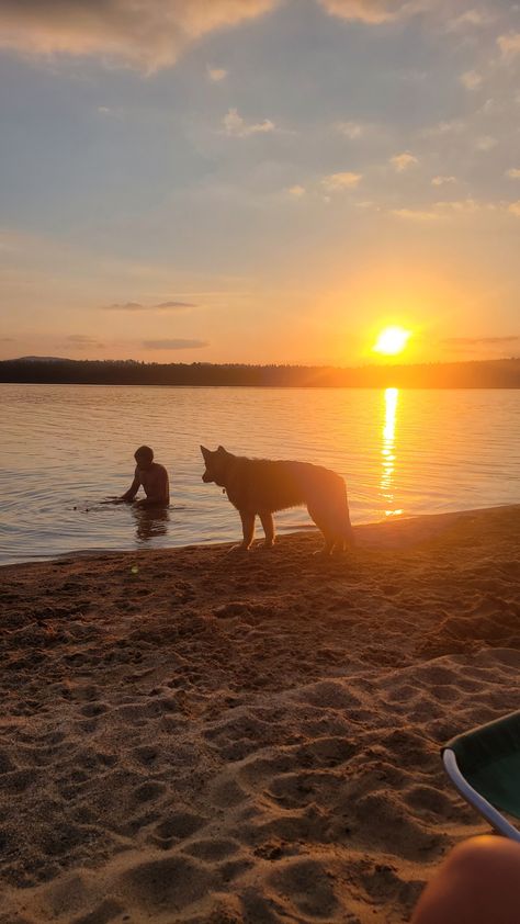 Beach days with my German Shepherd Sierra Dog Aesthetic German Shepherd, German Shepherd Beach, German Shepherd Aesthetic, Shepherd Aesthetic, January Mood, Sable German Shepherd, Aesthetic Beach, Beach Aesthetic, 2025 Vision